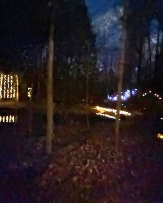 Luminary Walk - Lights